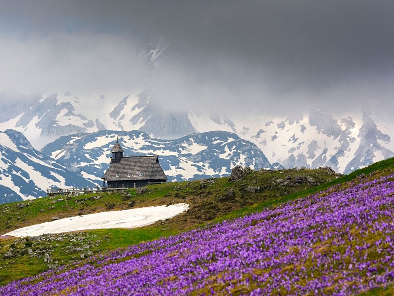 Velika Planina
