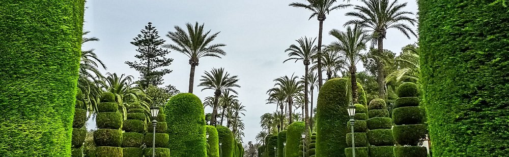 Le parc Genoves