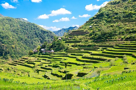 Rizières de Banaue et Batad