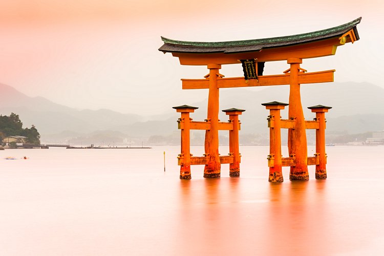 N°6 Japon 4