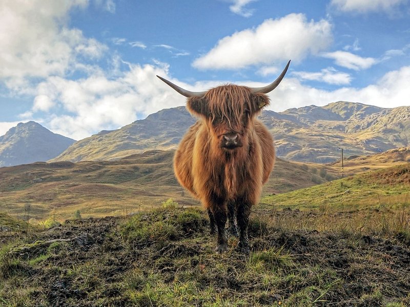 Parc national du Loch Lomond et des Trossachs