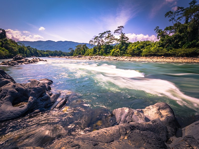 Le parc national du Manu