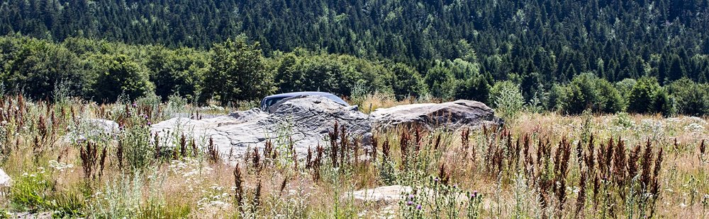 Le mont Gerbier-de-Jonc :