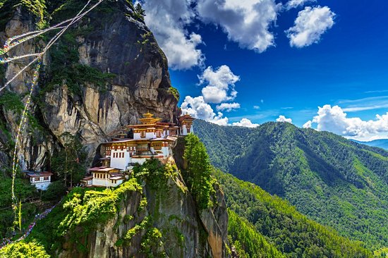 Paro