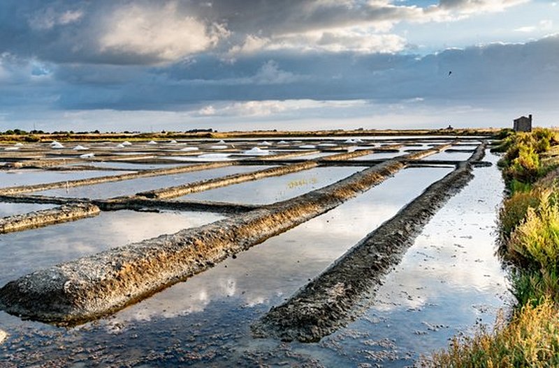 Visiter des marais salants