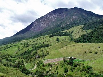 Parc national El Tamá