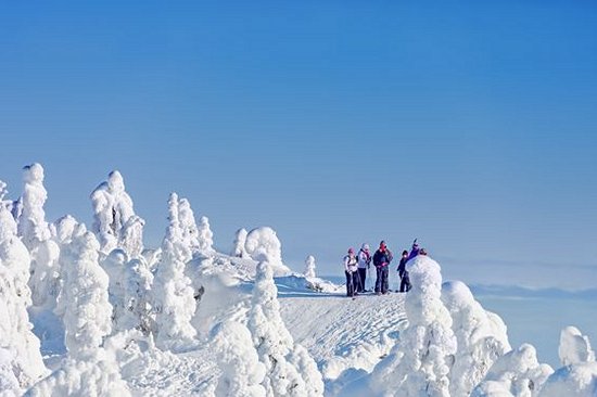 Skier et randonner dans le parc national de Koli