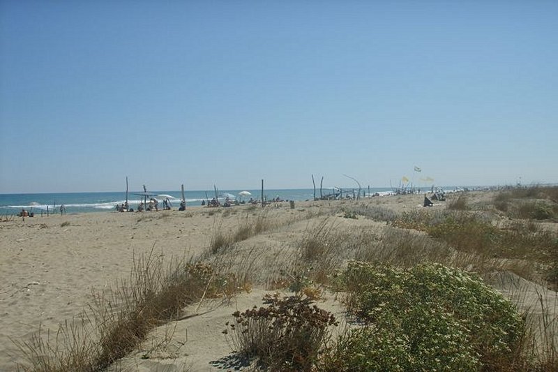 plage Les plages entre Torre del Lago et Viarregio