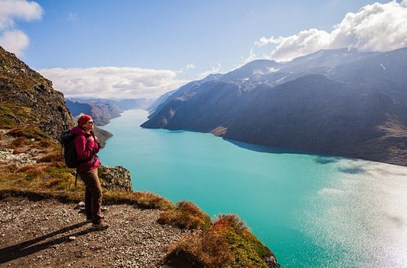 Parcourir la beauté des immenses parcs nationaux