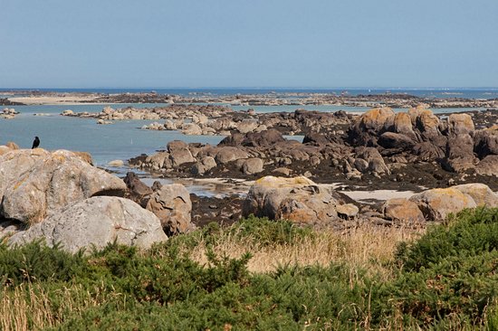 Les plages de Chausey