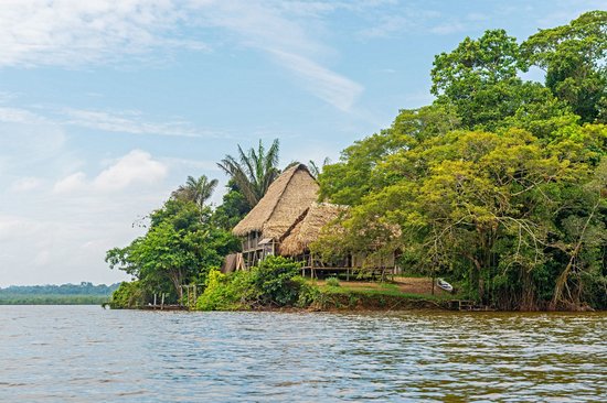 Réserve de Cuyabeno