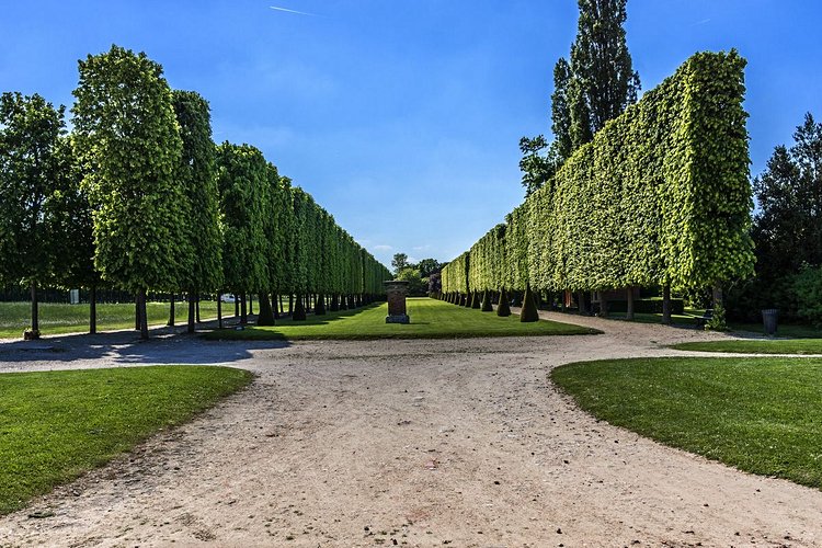 St Germain en Laye 2