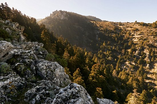 Parc naturel de la Sierra de las Nieves