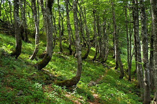 Parc national de Sjeverni Velebit