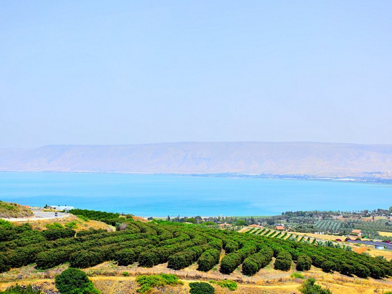 Le plateau du Golan