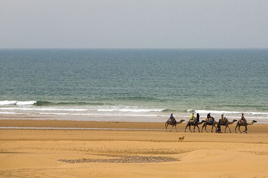 Les plages d’Essaouira
