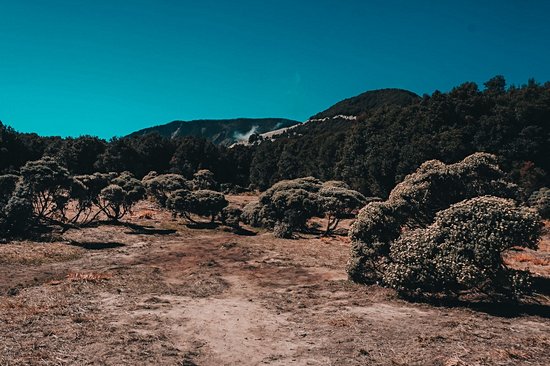 Mont Papandayan