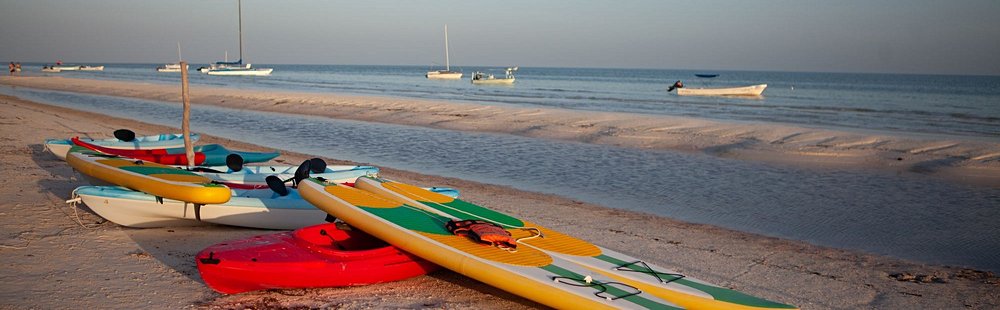 Faire du kayak dans les mangroves