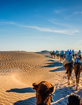 Les plus beaux lieux de Tunis