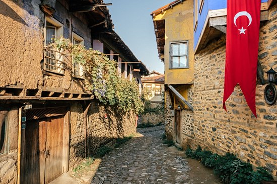 Bursa