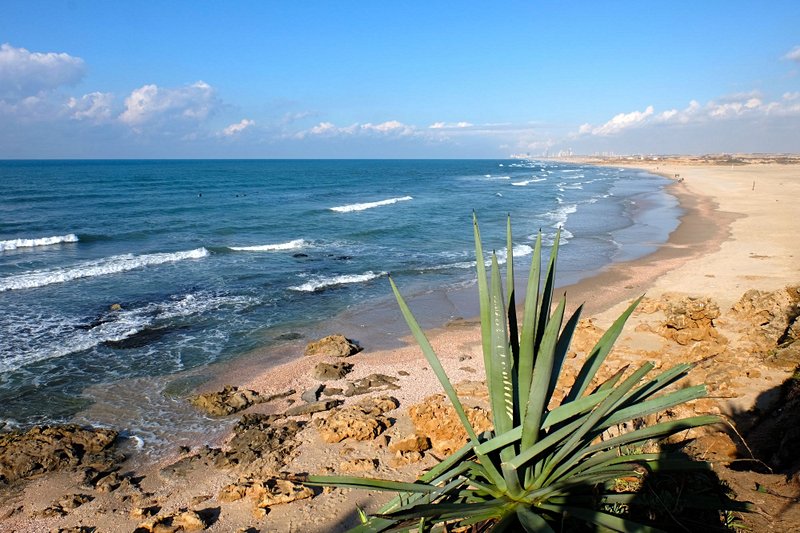 plage Palmachim, Méditerranée
