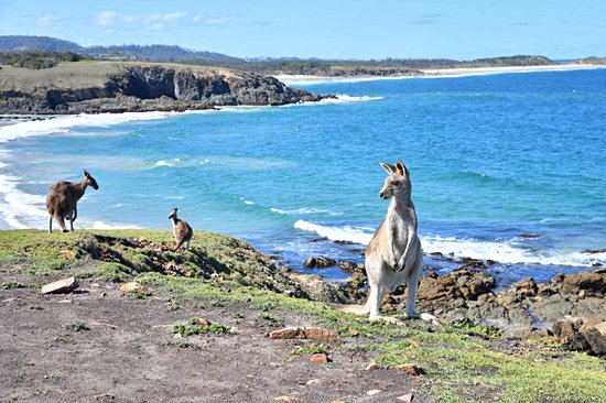 Coffs Harbour