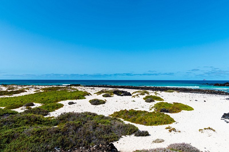 plage La plage de Caleton Blanco