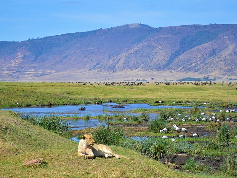 Comment visiter le Ngorongoro ?