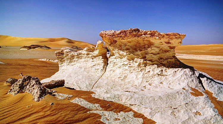 La région du désert occidental et des oasis