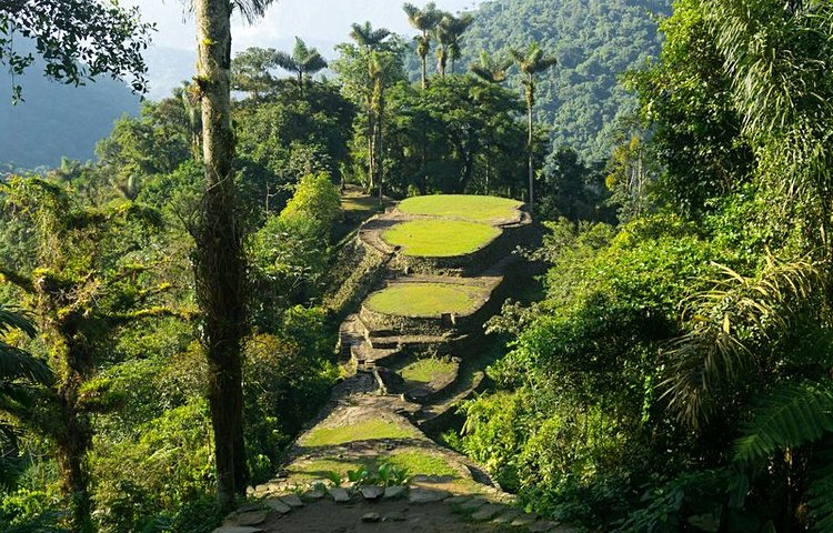 La jungle de Lost City