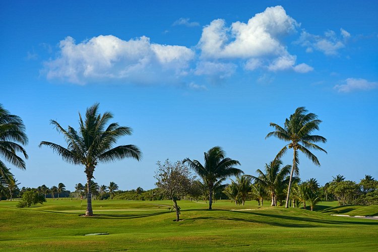 Faire une partie de golf sur la Riviera Maya
