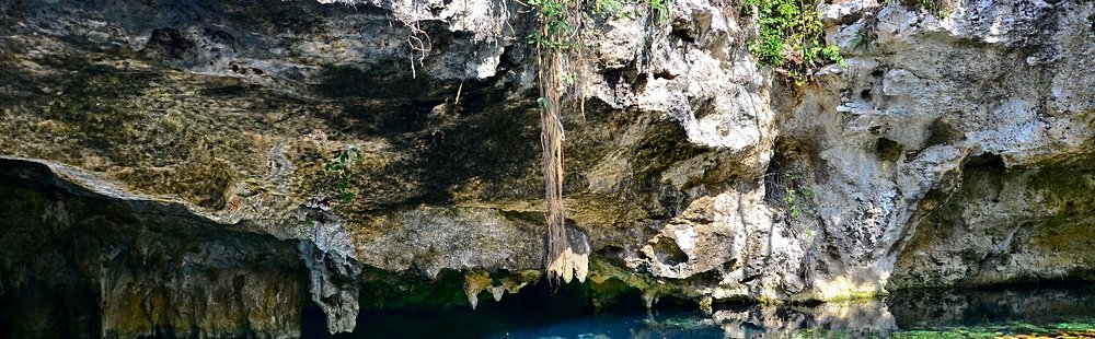 Découvrir les cenotes