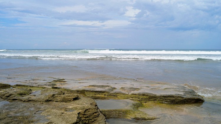 L’entraineuse : Playa Avellana