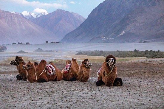 Nubra