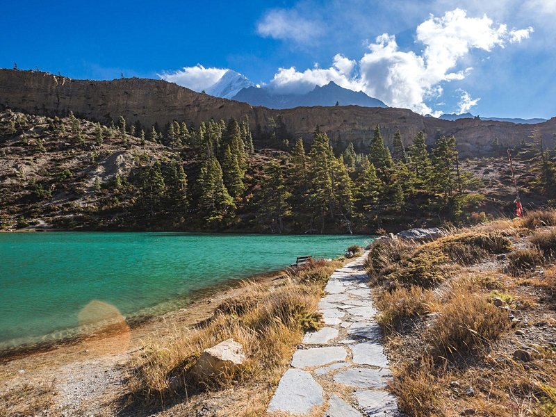 Trek dans les Annapurnas