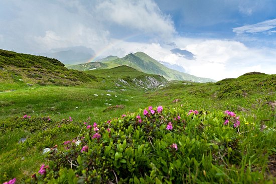 Monts Rodna