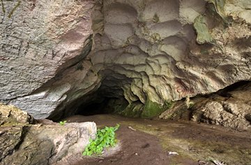 Cave of Pëllumbas