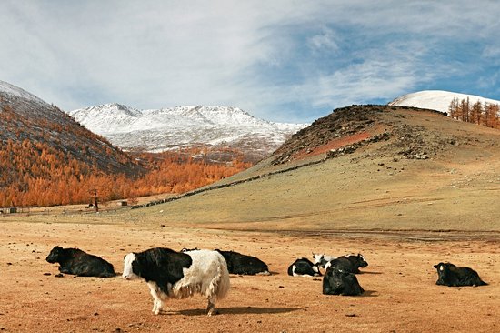 Parc national de l'Altaï Tavan Bogd