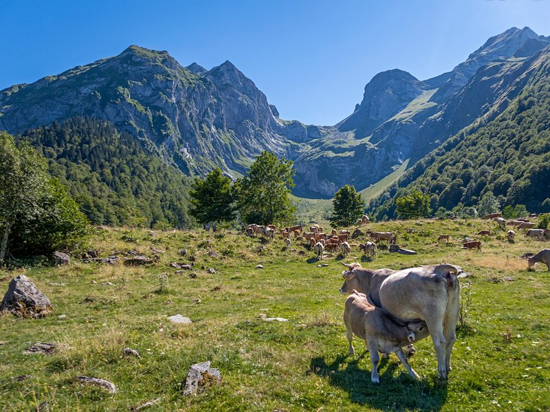 Parc naturel de Cadí-Moixeró