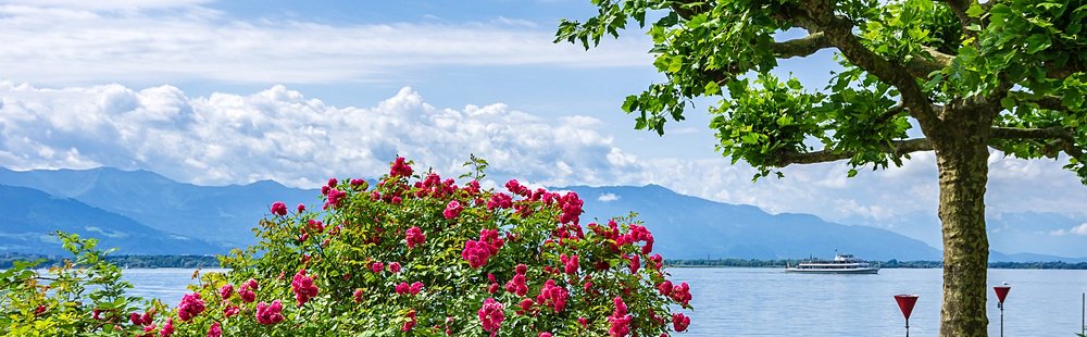 La rando canadienne : le Titisee