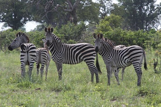 Parc national de Mudumu