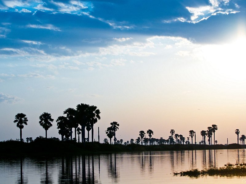 Le parc national de Nyerere (ex-réserve de Selous)