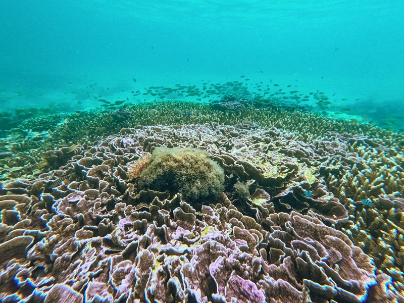 Découvrir Anda : plages et grottes secrètes