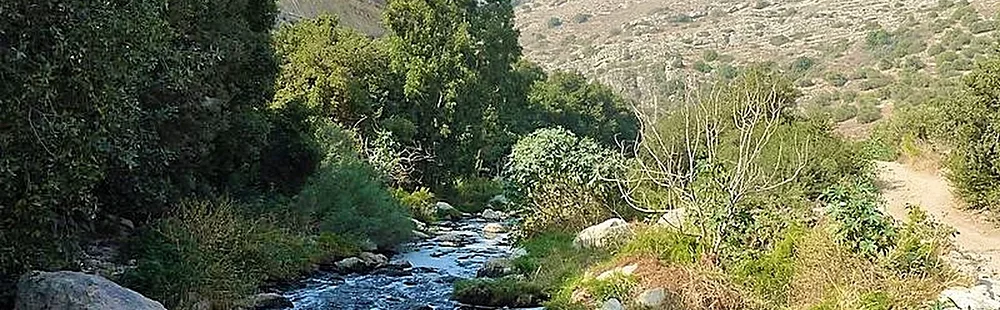 La grimpante : Rivière Katlav