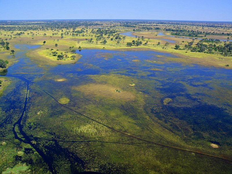 Moremi Game Reserve