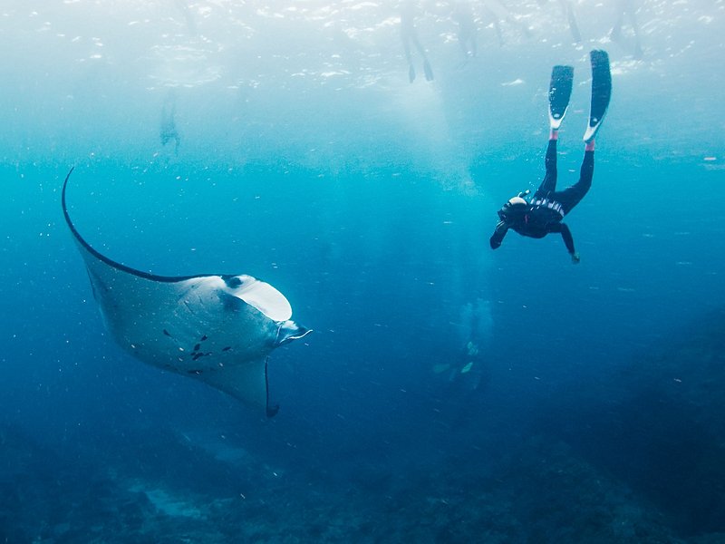 Faire de la plongée à Manta Point