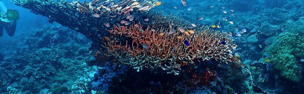 Tubod Marine Sanctuary