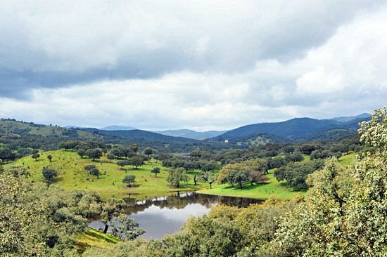 Parc naturel de la Sierra de Aracena y Picos de Aroche