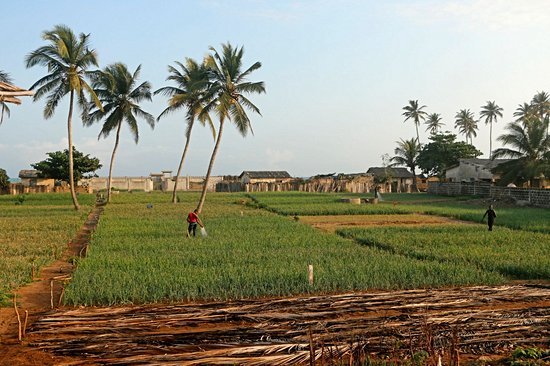 Les plages de Gran Popo