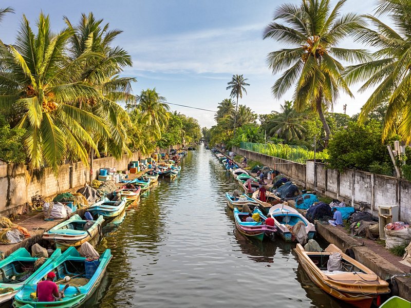 Lagon de Negombo
